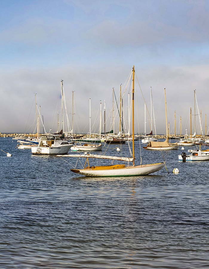 Vineyard Haven - Harbor with Boats