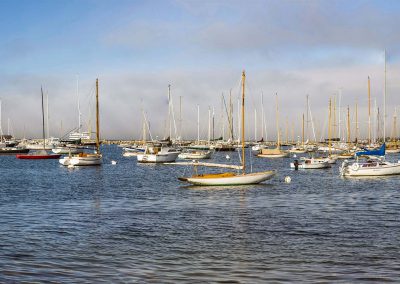 Vineyard Haven Harbor with Boats