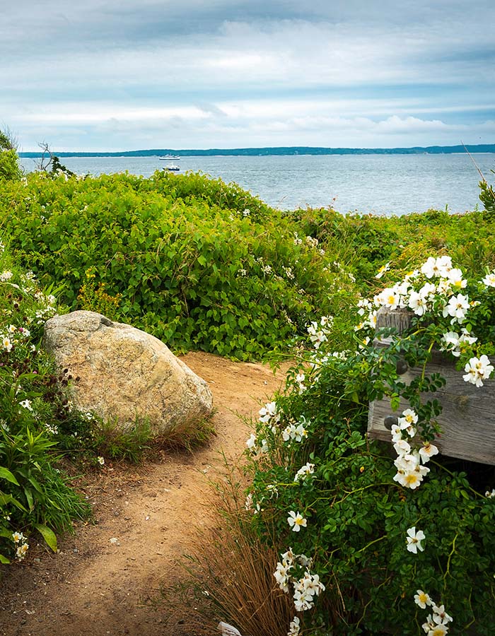 Chilmark - North Shore