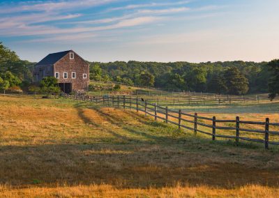 Edgartown Bittersweet Farm