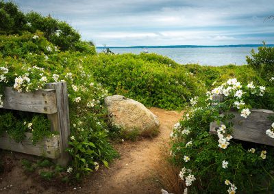 Chilmark North Shore Beach Access